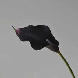 5pcs Large Calla Lily Artificial Flowers Wedding Decor Bridal Bouquet  Fake Flowers Realistic Callas Home Decoration Accessories