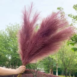 1Pcs 120cm Artificial Reed Flower Bouquet Plume Pampas Grass Dried Flowers For Home Room Decor Wedding Birthday Party Supplies