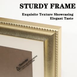 A4 Photo Frame Decorative for Living Room Gold Color Picture Frames Poster Display Holder for Wall Decoration 4x6,6x8,8x10 Inch