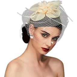 Birdcage Bride Veil Wedding Hair Accessories Flowers Feather Mesh Veil Face Cover Multi Colors Korea Japan Black White