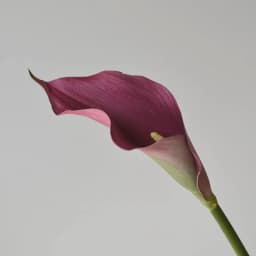 5pcs Large Calla Lily Artificial Flowers Wedding Decor Bridal Bouquet  Fake Flowers Realistic Callas Home Decoration Accessories