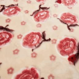 New Warm Weighted Blankets for Beds High End Thicken Warmth Raschel Blanket for Winter Autumn Double Side Plush Comforter Quilt