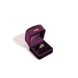 High End Rounded Edge Velvet Jewelry Storage Box with Multi Compartments for Earrings Rings Bracelets Necklaces Organizer Gift