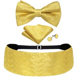 Mens Paisley Cummerbund 4pcs Set, Bow Tie Pocket Square Cufflinks Included, Ideal For Groom Wedding Banquet Formal Occasions