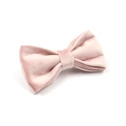 Personalized Dog Harness Collar Name Customized Velvet Collar Bow Leash for Small Medium Large Dogs Poop Bag Dispenser Pouch