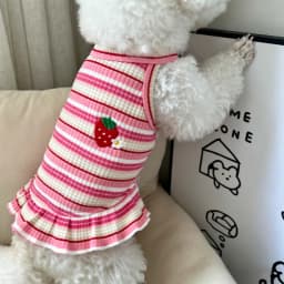 Thin Cooling Dog Dress Striped Dog Clothes Summer Puppy Skirts Girls Dog Costume Chihuahua Clothing Bichon Dog Supplies 2026 New