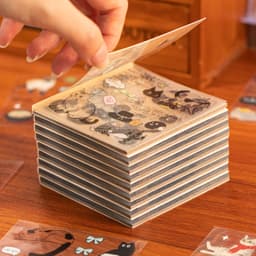 20pcs Corner Cats PET Square Sticker Book for Journal Scrapbooking Planner Decoration Waterproof Cute Animal Stickers, Mr. Paper