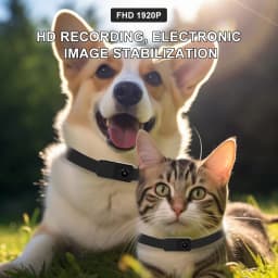 HD 1080P Pet Collar Camera Outdoors Wireless Cat Collar Camera No WiFi Needed Video Records for Cats Dogs Birthday Gift Mini Cam