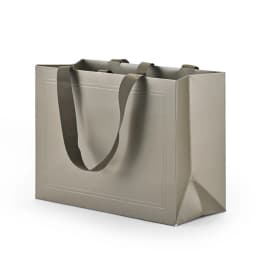 Oirlv 10Pcs Green Gift Bags Ribbon Handle Customizable Jewelry Shopping Bag Reusable Gift Packaging Bags Paper Gift Bags Packing