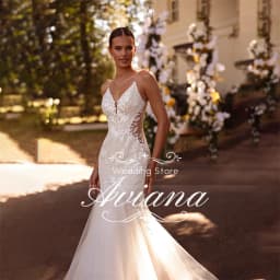 Customized Aviana Spaghetti Strap V-Neck Mermaid Wedding Dress Backless Tulle Appliques Embroidery Sweetheart Vestidos De Novia