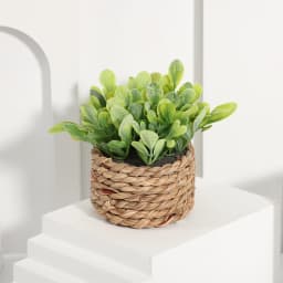 XIYA FLOWER Green Artificial Plants Eucalyptus Grass Woven Small Potted Plants Grass Mound 11cm PE Material Home Decoration