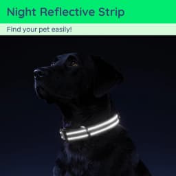 Waterproof Air Tag Dog Collar with AirTag Holder, Reflective Soft Padded & Safety Buckle, AirTag Pet Collar Adjustable for Dogs