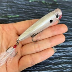 7g 65mm Surface Popper Fishing Lures Long Casting Artificial Hard Bait Topwater Pencil Swimbait Wobblers for Pike Perch Supplies