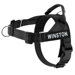 Personalized No Pull Dog Harness with Name Patch Escape-Proof Adjustable Reflective Soft Padded Dog Vest for Training Walking