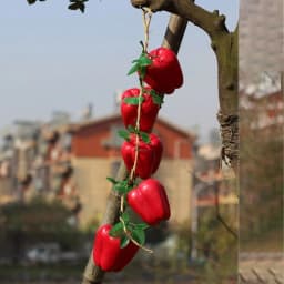 Onion Garlic Red Pepper Kitchen Decoration Fake Vegetables Photography Props Artificial Vegetables Simulation Food