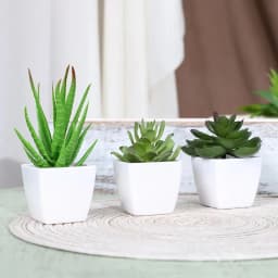 3PCS Artificial Evergreen Plant Bonsai, Suitable For Home, Restaurant, Office, Desktop, And Window Sill Decoration