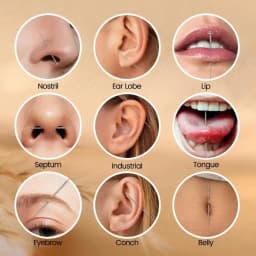 Grasper And Curved Piercing Guide Needle Set For Easy Accurate Body Piercing On Sensitive Skin