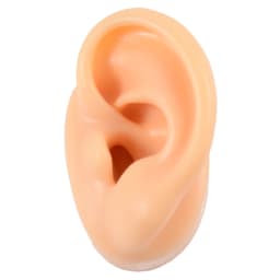 1PC Flexible Silicone Ear Model for Piercing Left and Right Human Ear Molds Jewelry With Exhibits Props