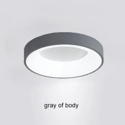 Nordic Ceiling Light Modern LED Simple Lamps For Living Room Bedroom Study Restaurant Home Indoor Round Decor Lighting Fixture
