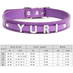 Custom Cat Dog Collar Personalized Rhinestone Puppy Collars Adjustable Letter Crown Charm Name Dog Necklace Chihuahua Id Collar