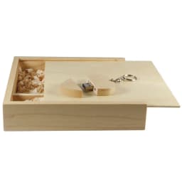 JASTER Maple Photo Album Wood USB+Box Memory Stick Pendrive 8GB 16GB 32GB 64GB 128GB Photography Gift Free LOGO (170*170*35 MM)
