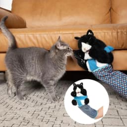 Cat Pet Toy Gloves Interactive Cat Wrestling Puppet Toys - Fun Play Gloves, for Cats Wrestle Play, Pet Supplies