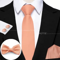 Hot Sale Burgundy Pink Necktie Set Include Polyester Bowtie Cufflink Floral Brooch For Groom Suit Wedding Cravat Shirt Accessory
