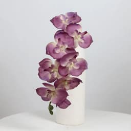 8 Heads Big Silk Artificial Flower Branch Orchid Phalaenopsis Black Burgundy Wedding Home Decor Flowers Potted Orchid Wholesale