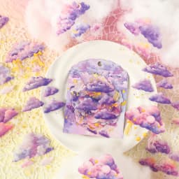 20pcs Dreamy Cloud Series Kawaii Color Cloud PET Stickers Creative Handbook DIY Scrapbooking Material Stationery Stickers