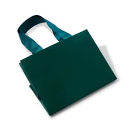 Oirlv 10Pcs Green Gift Bags Ribbon Handle Customizable Jewelry Shopping Bag Reusable Gift Packaging Bags Paper Gift Bags Packing