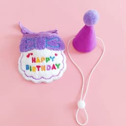 Pet Birthday Party Hat Bib Set Cute Cat Dog Birthday Celebration Scarf Dress Up Kitten Puppy Costumes Gift Pet Accessories