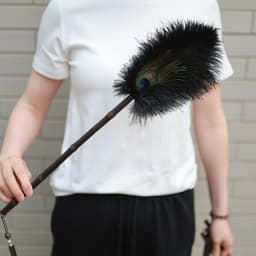 Portable Peacock Ostrich Feathers Duster Brush Handle Anti-static Cleaning Tools Household Dust Sweeping Brushs Multi-function
