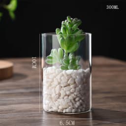 Hydroponics Plants Desktop Glass Planter Vase Glass Vase Transparent Cylinder Flower Vase Bedroom Desktop Home Decoration