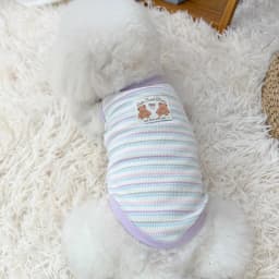 Thin Cooling Dog Dress Striped Dog Clothes Summer Puppy Skirts Girls Dog Costume Chihuahua Clothing Bichon Dog Supplies 2026 New