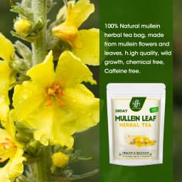 100% Organic Mullein Leaf Tea Non-GMO, Chemical Free, Caffeine Free, Soothe Respiratory Discomfort, Relaxation & Restful Sleep