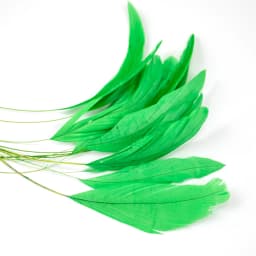 10pcs Natural Rooster Feathers Wedding Crafts DIY Colorful Feather Handwork Party Plume Carnival Headwear Decoration Accessories