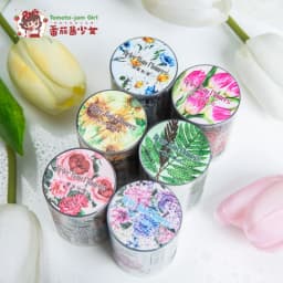2m/roll Junk Journal Collage Material Stickers Creative Text Plants Flowers PET Masking Tape Scrapbook DIY Supplies Stickers