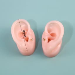 Earring Display Stand Ear Model Ear Clip Stud Jewelry Display Organizer Holder Window Counter Ear Stud Showcase Props