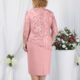 Plus Size Ladies Dress O Neck Short Sleeve Dress Evening Party Summer Dresses For Wedding Guest Lace Embroidery Elegant Dress
