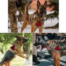 Warning Patch Pet Dog Bite Risk Embroidery K9 Service Dog Vest Helmet Uniform Accessory Hook Loop Emblem Badge
