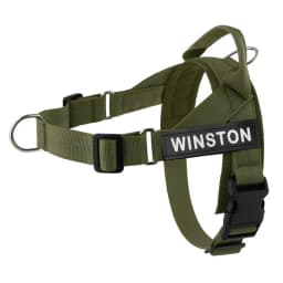 Personalized No Pull Dog Harness with Name Patch Escape-Proof Adjustable Reflective Soft Padded Dog Vest for Training Walking