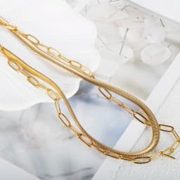 Vintage Punk Double Layer Snake Chain On The Neck Choker Pendant Necklace For Women Golden Thick Chain Stainless Steel Jewelry