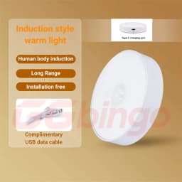 Type-C 1pc Motion Sensor Night Light - Wireless LED Detector Lamp for Bedroom, Staircase, Closet, and Room Decor-