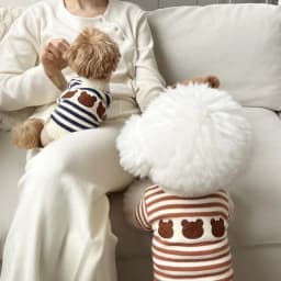 Dog Sweaters for Small Dogs Cute Bear Cardigan Pet Coat Autumn Winter Striped Puppy Clothes Dog Warm Knitted Jacket Dog Pullover
