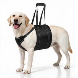 Dog Lift Harness Adjustable Reflective Rehabilitation Support Sling Mobility Aid for Old Injured Medium Large Dog Walking Assist