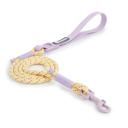 Pet Supplies Dog Collar For Small and Medium Dog Walking Sugar Color Series Cute Style PVC Webbing Collar Leashes Set New Arriva