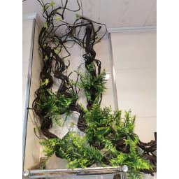 1.75 Meter Artificial Vine Green Leaf Simulation Rose Rattan Plant Branch Decoration Office DIY Rattan