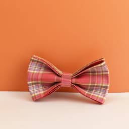 Plaid Dog Collar And Leash Set For Dogs Custom Engraved Nameplate Pet Supplies Dog Leash Grid 14