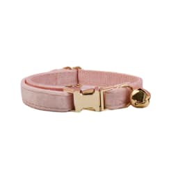 Personalized Collar for Cat Kitten Collar Velvet Puppy Small Dogs Collars Customized Engraving Name Cat Necklace with Bell Bow