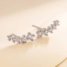 925 Sterling Silver Hollow Butterfly Stud Earrings For Women Luxury Designer Jewelry Wholesale Accessories Prevent Allergies